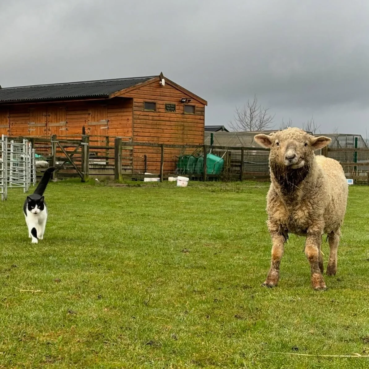 Lulu &amp; Alex 💚