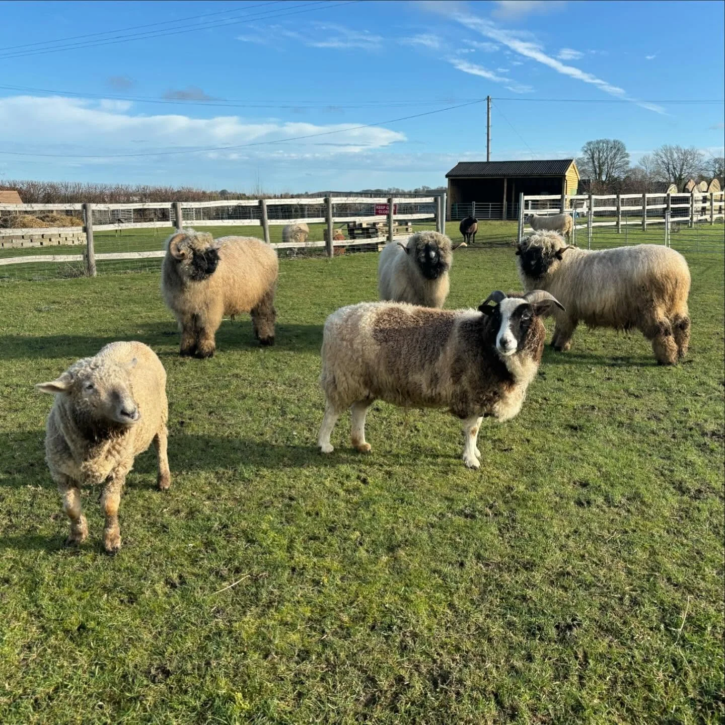 Happy Saturday ☀️