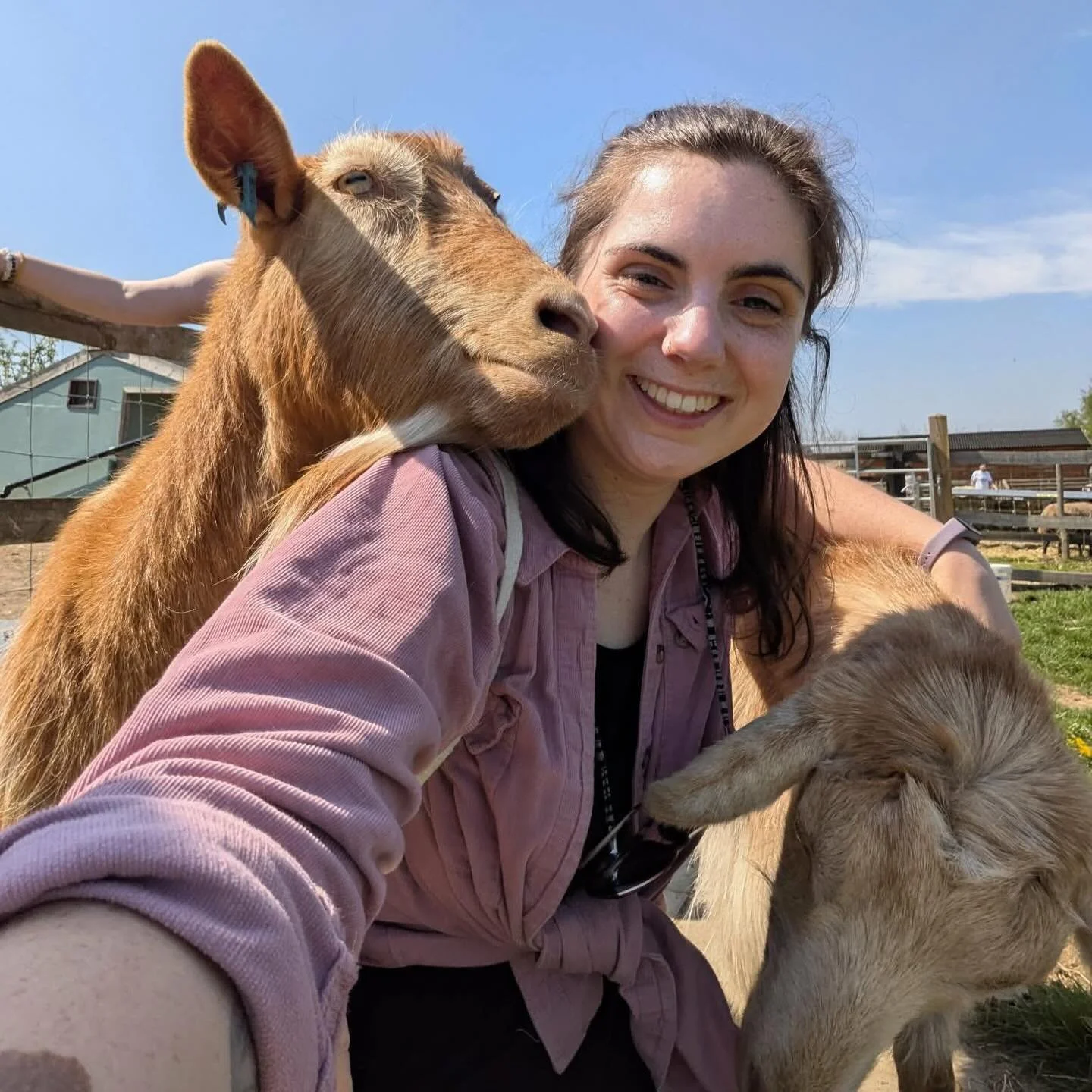 Another Brilliant Fundraiser!! 😮🔥

We are beyond grateful to Rachel who has taken on the challenge of running the Folkestone Coastal 10k! Her goal is to raise &pound;500 for the animals here at Noo Beginnings 🙏

Please support if you can 🤗
Link b