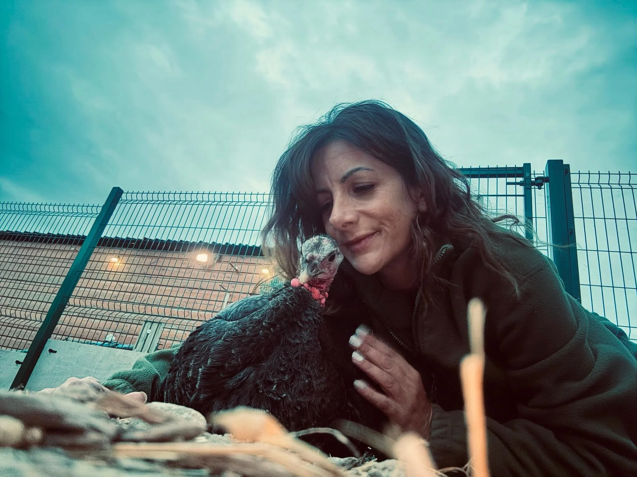 Wishing the happiest of birthdays to the heart, mind and soul of the sanctuary - Nicky Noo 💚

She is constantly working so hard behind the scenes to make sure to provide a safe and loving home for the 77 residents currently living here. We love you 
