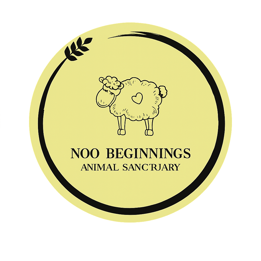 Noo Beginnings