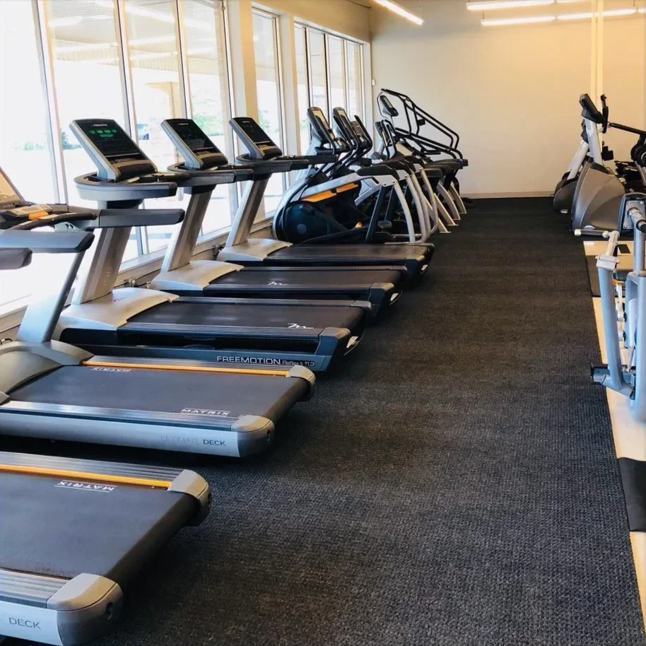 A row of treadmills and elliptical machines in a bright gym with large windows.