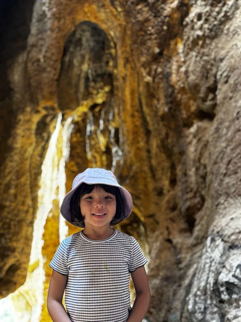 IMG-20260121-WA0024.jpg (Copy)