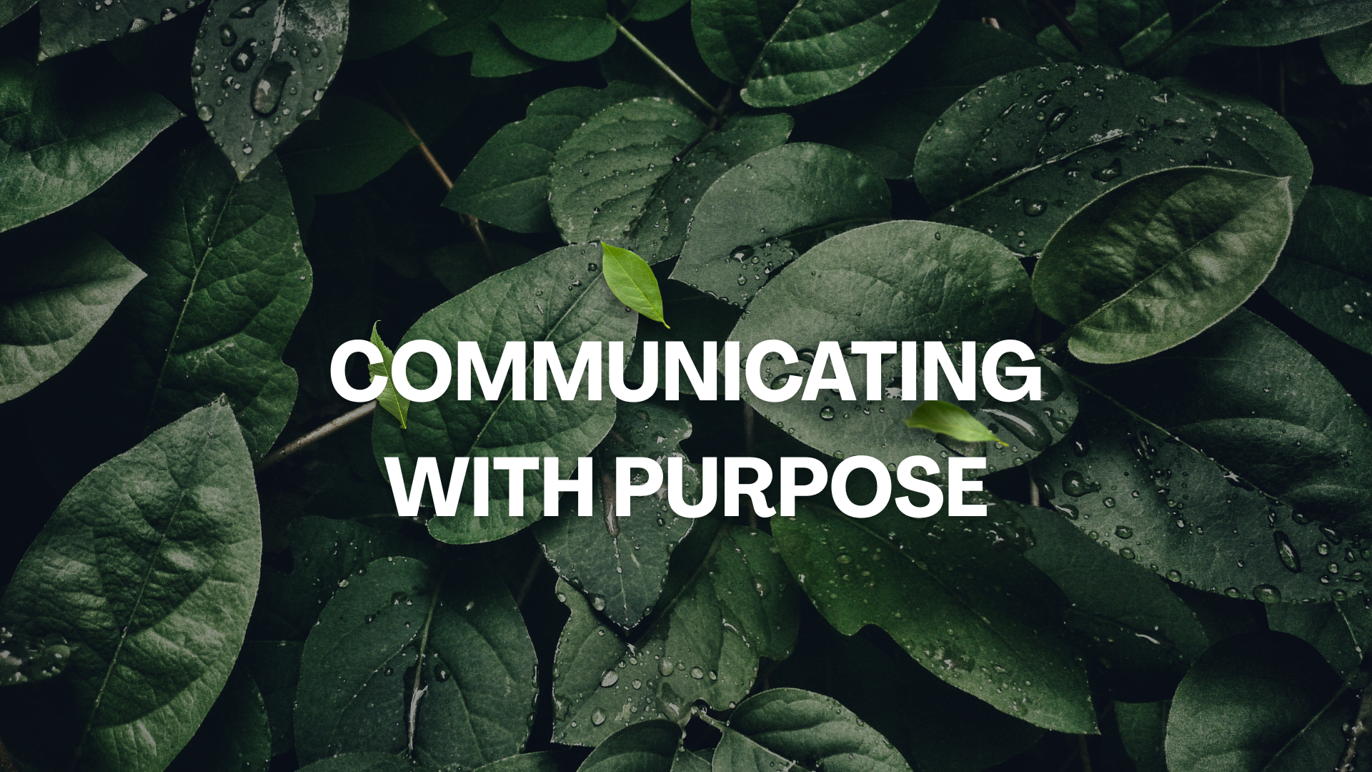 Leading Communication With Purpose: The Bridge Between Strategy and Action