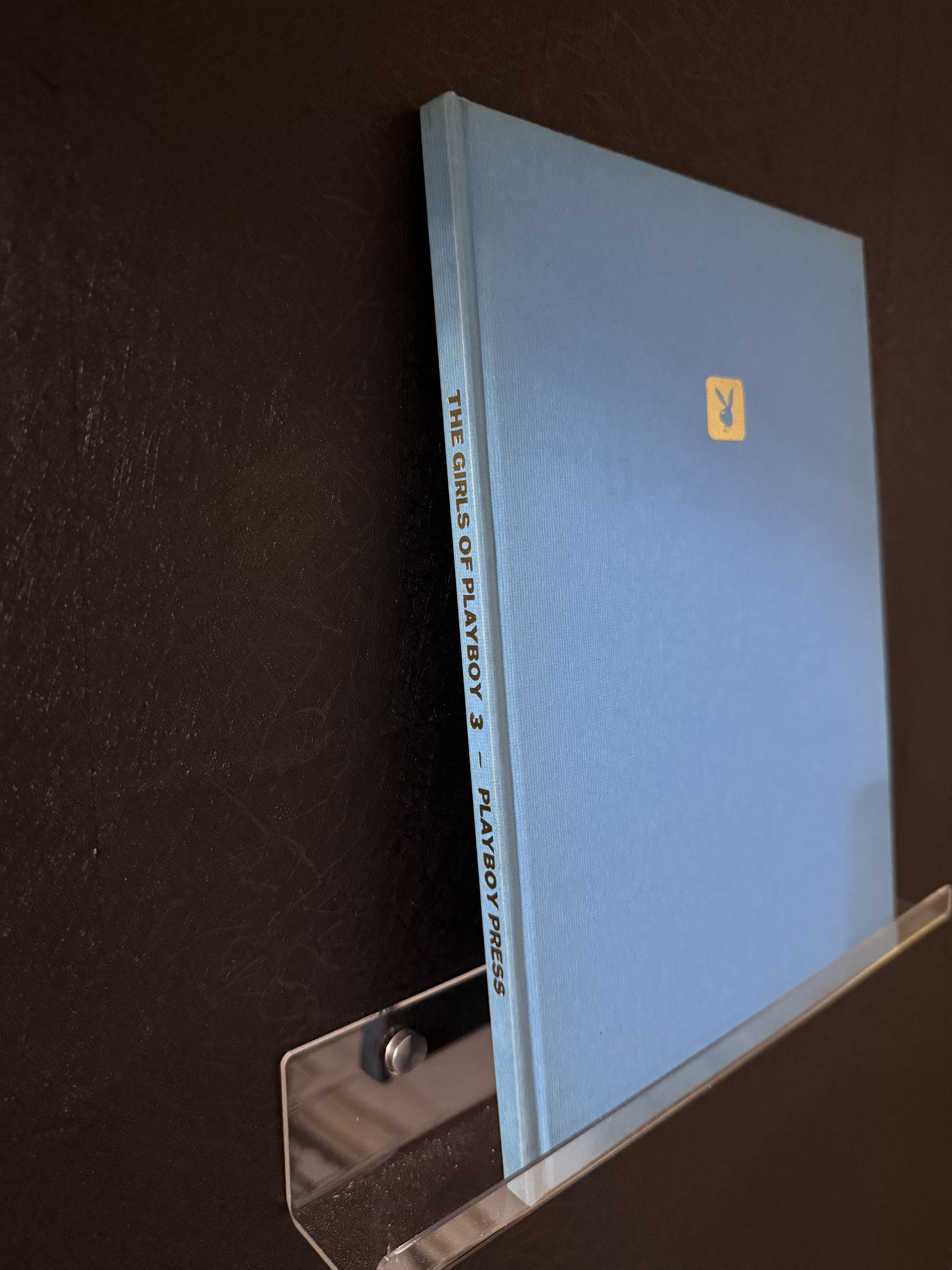 Girls of Playboy 3 (2).jpg