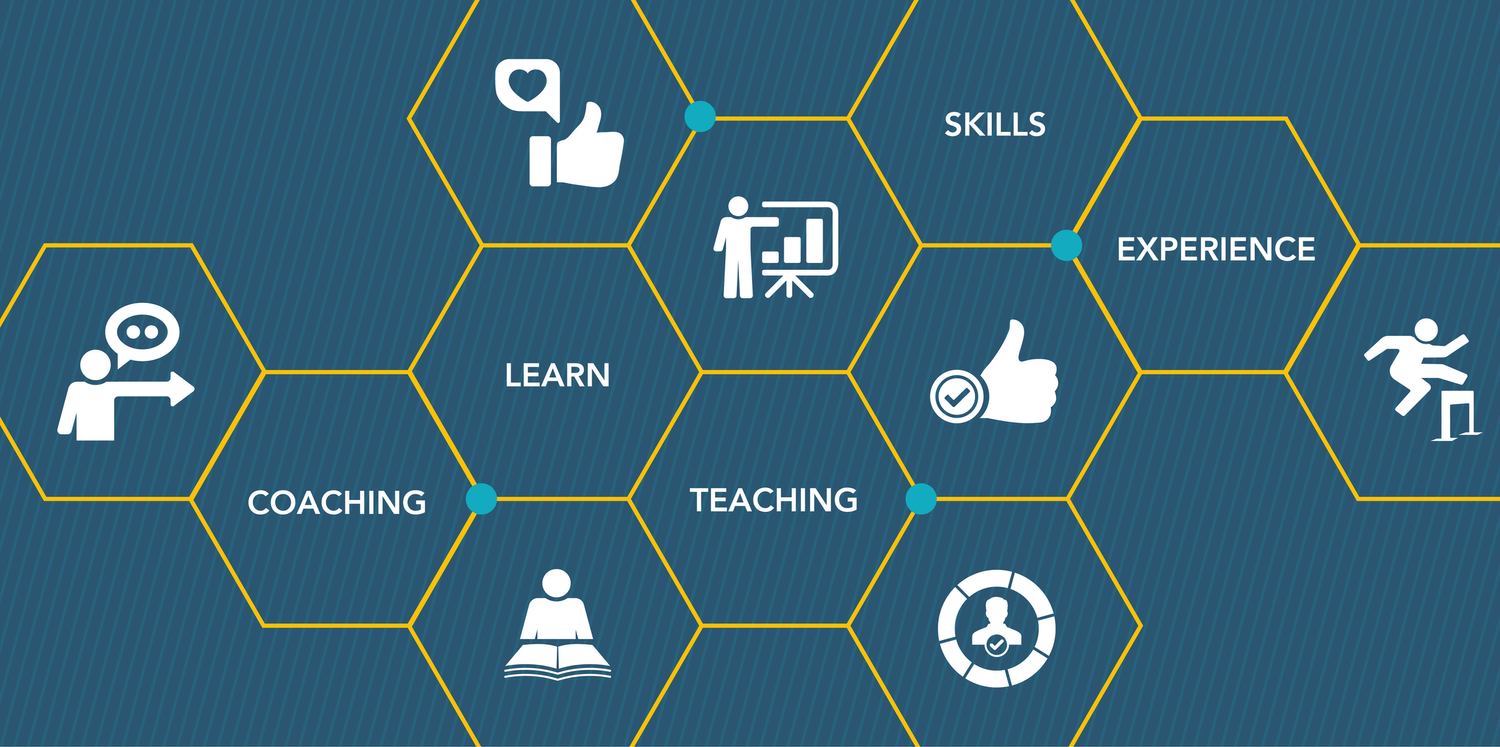 Infographic with hexagons displaying icons and words related to coaching, learning, teaching, skills, experience, and various illustrative icons representing opinions, learning, progress, and support.
