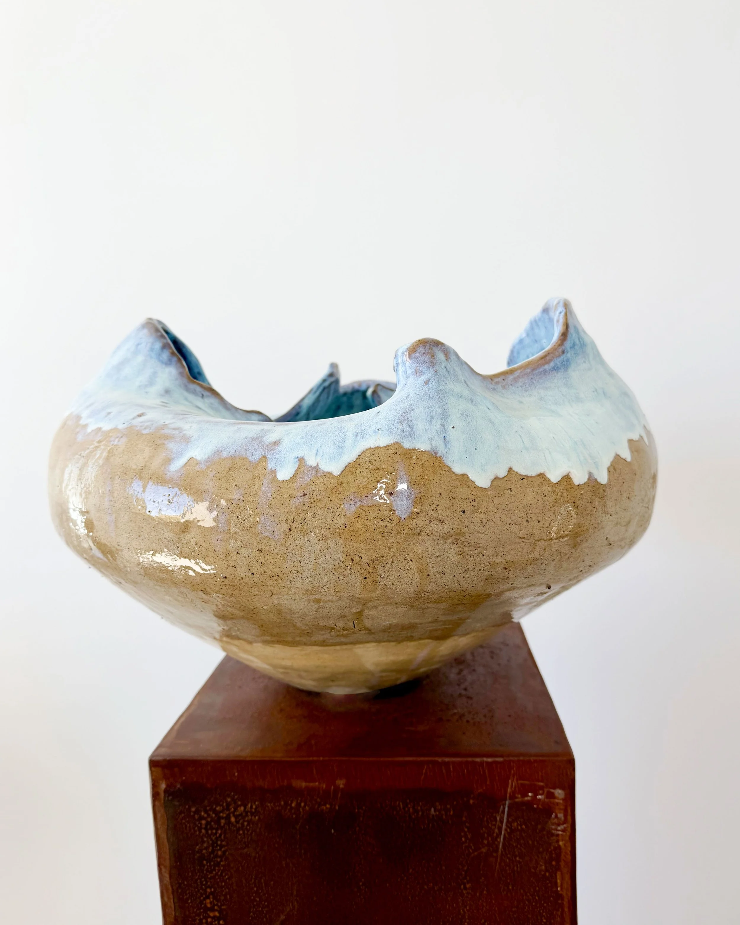 Wild Clay