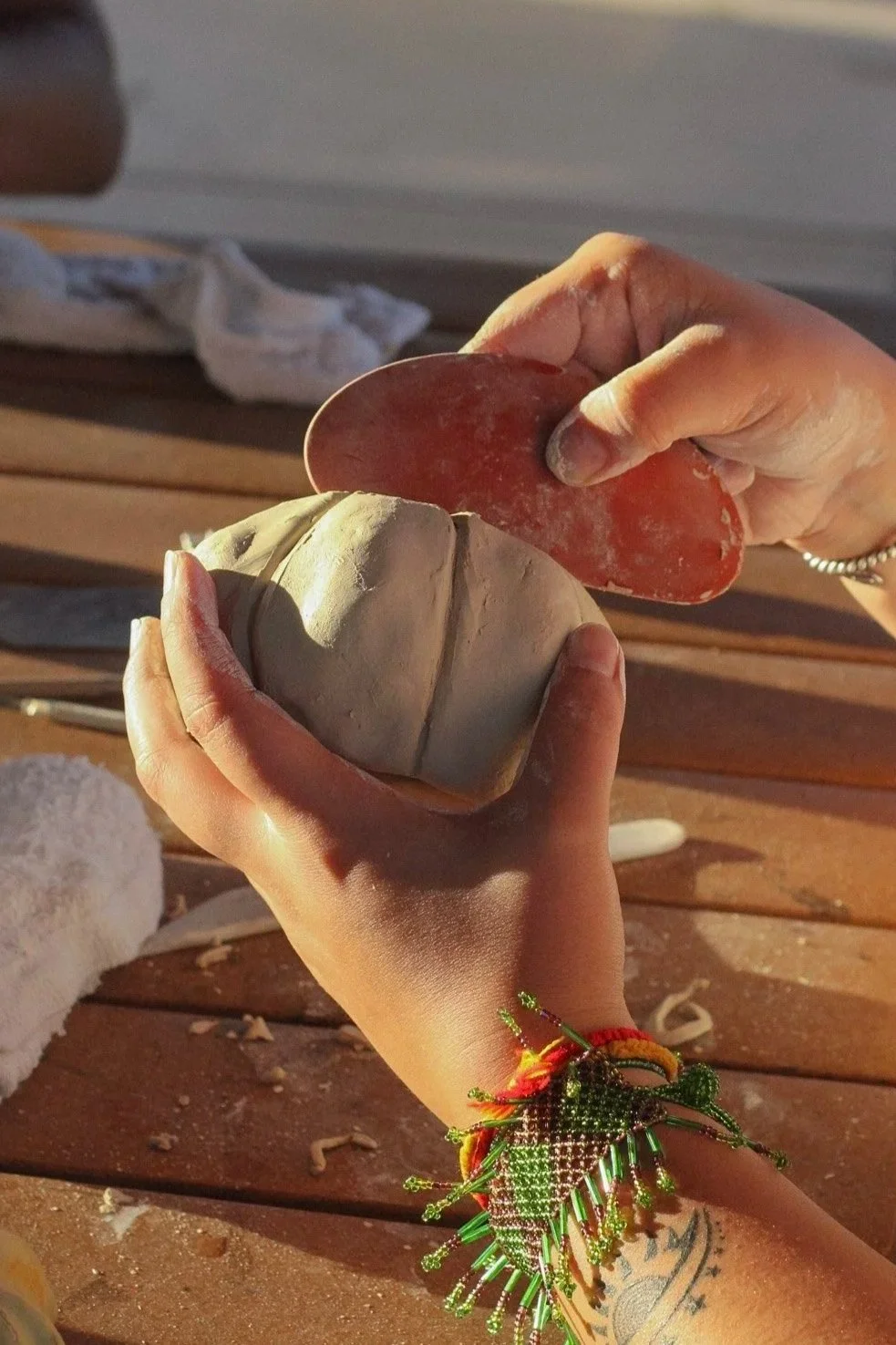 Manzanita12-IMG_0826.jpg (Copy)