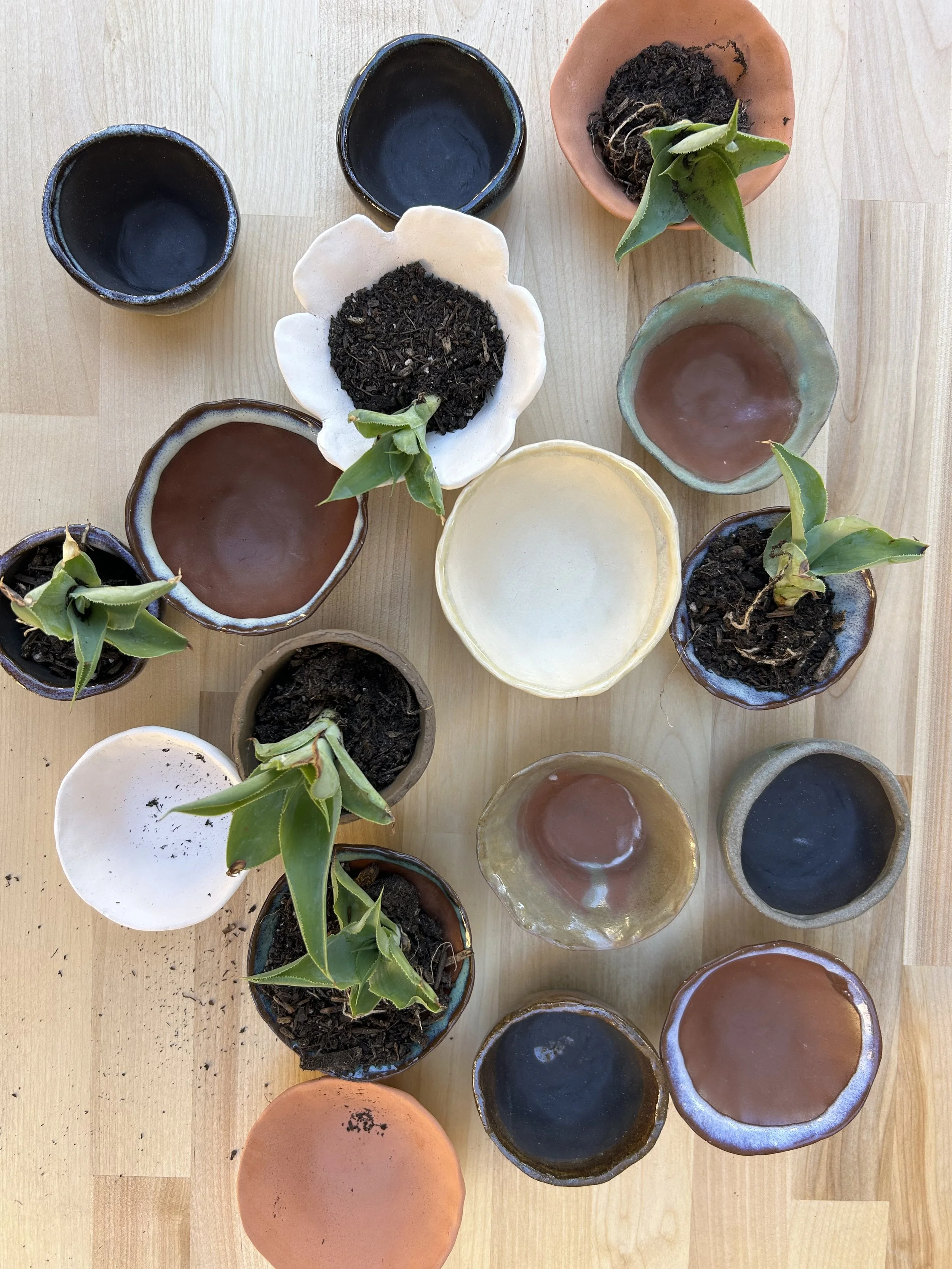 IMG_9178.jpeg (Copy)