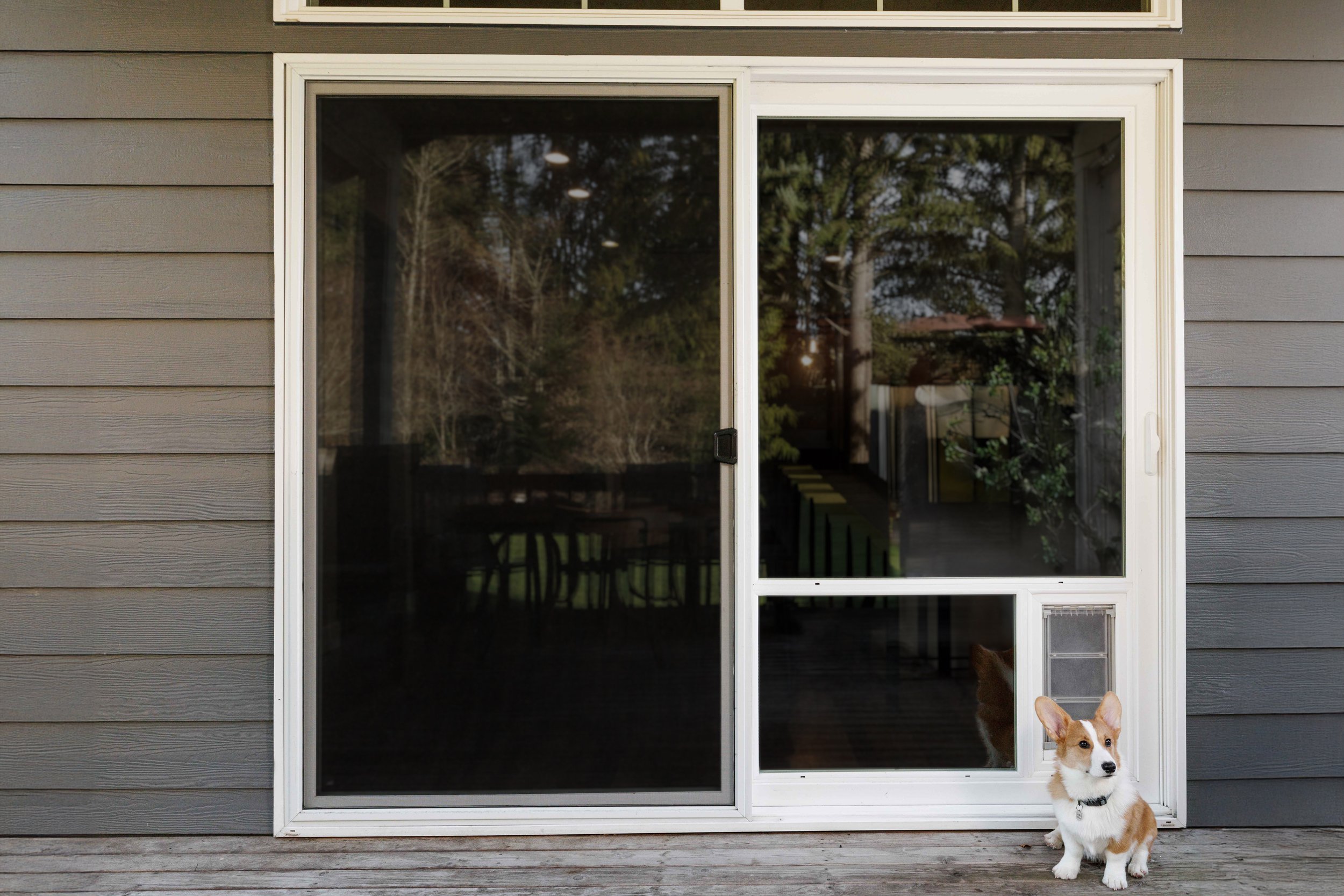 In-glass pet door installed in a sliding glass door