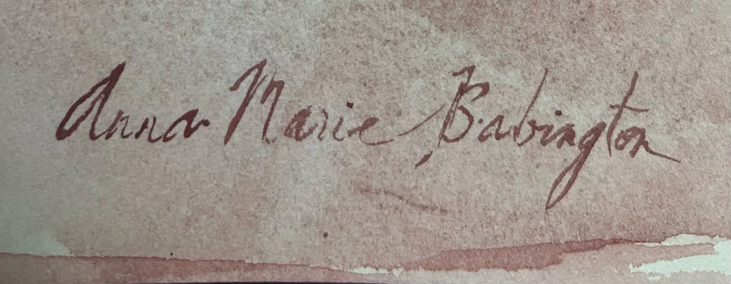 Anna-Marie Babington