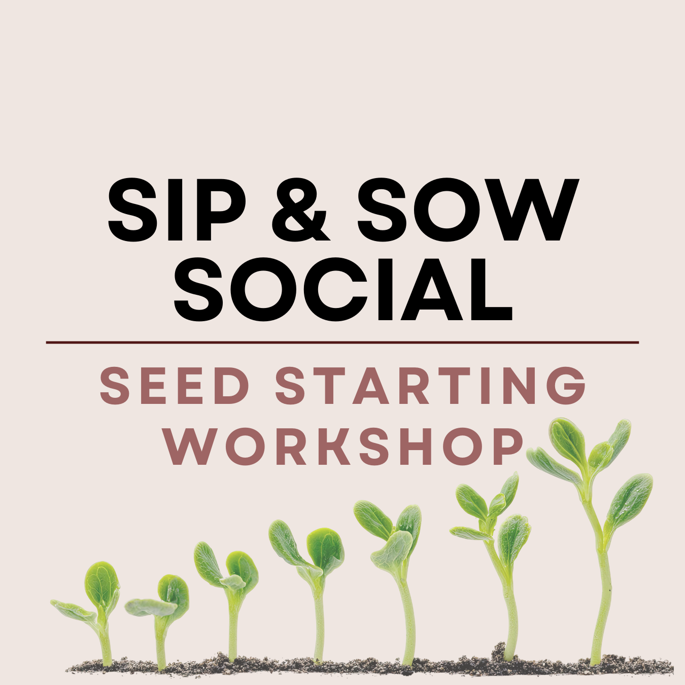 Sip and Sow Social