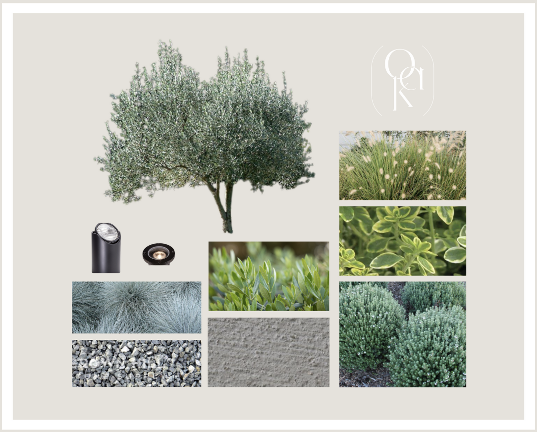 Collage of various plant images including a large tree, grass, shrubs, ground cover plants, and gravel with a spotlight and landscape lighting.