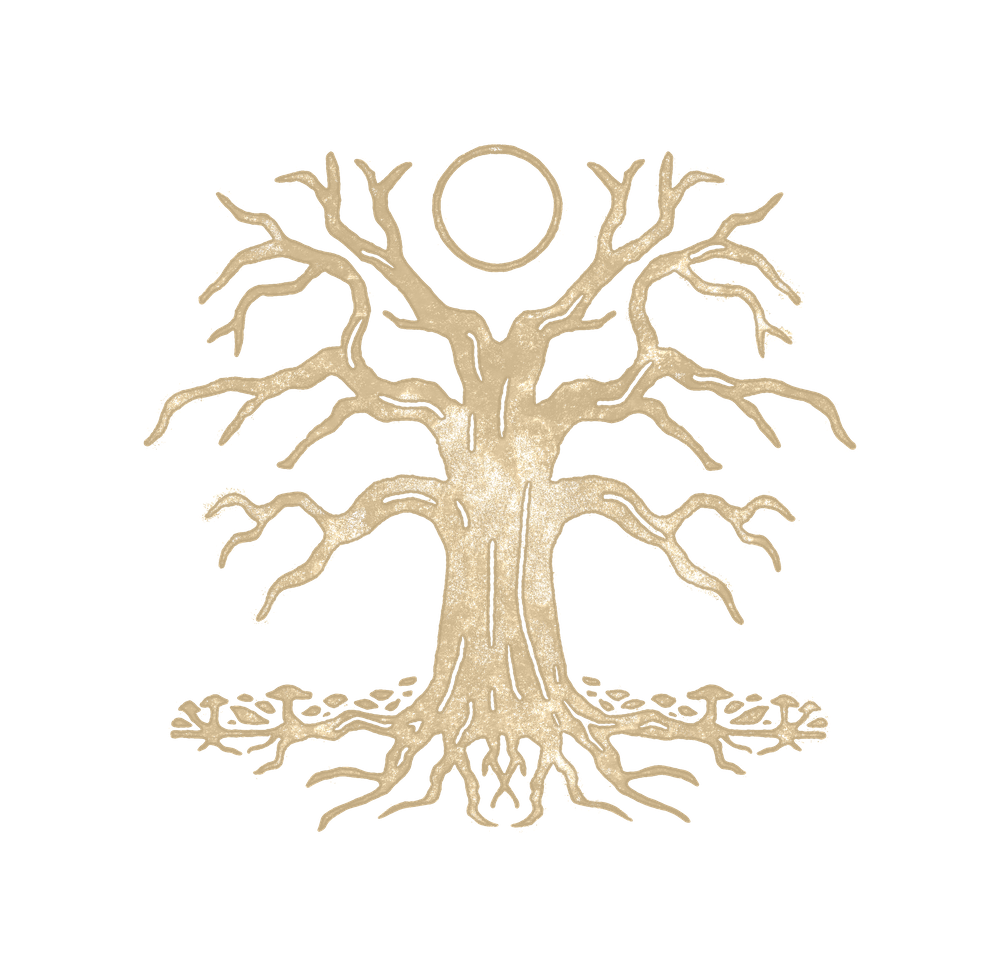 Winter_Textured_Sunlight copy.png