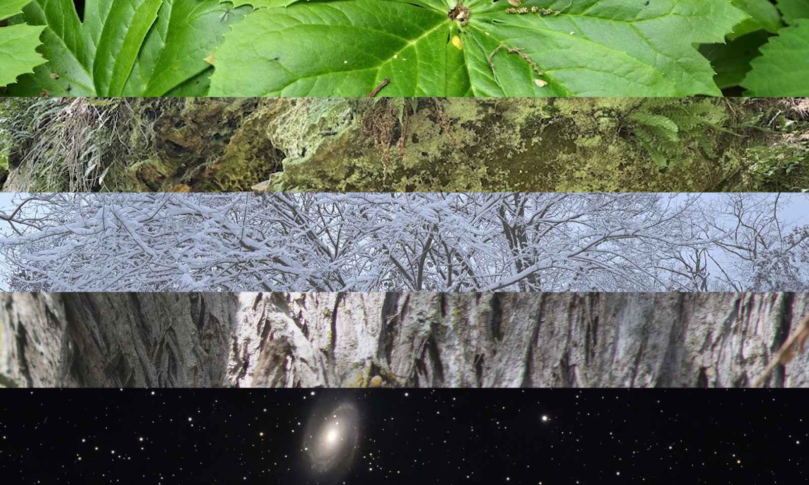 Aromantic