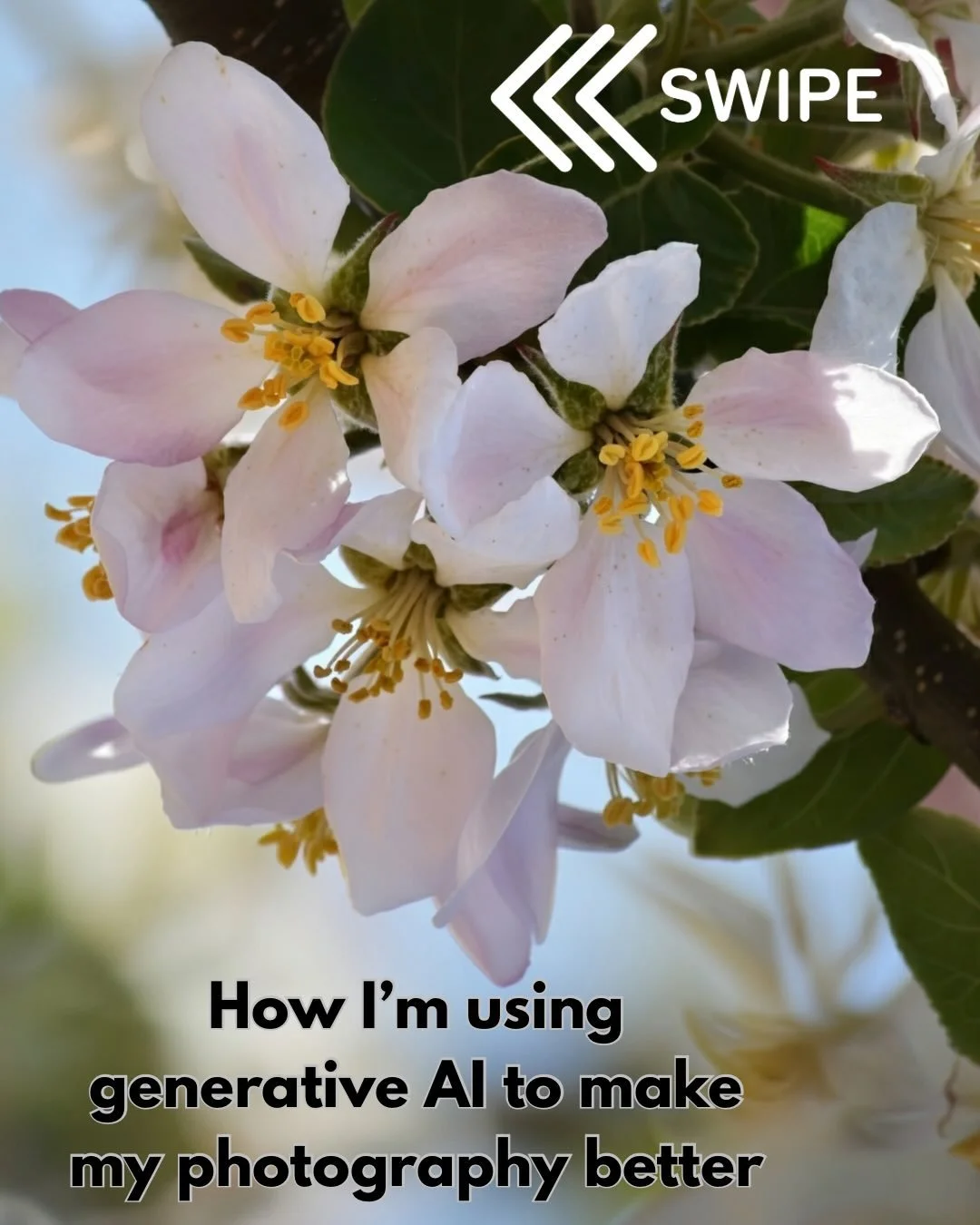 As art continues to grow and change in the modern world of AI, I&rsquo;d like to show off all of the amazing ways I&rsquo;m using it to improve my art and photography skills. 

#ai #generativeai #art