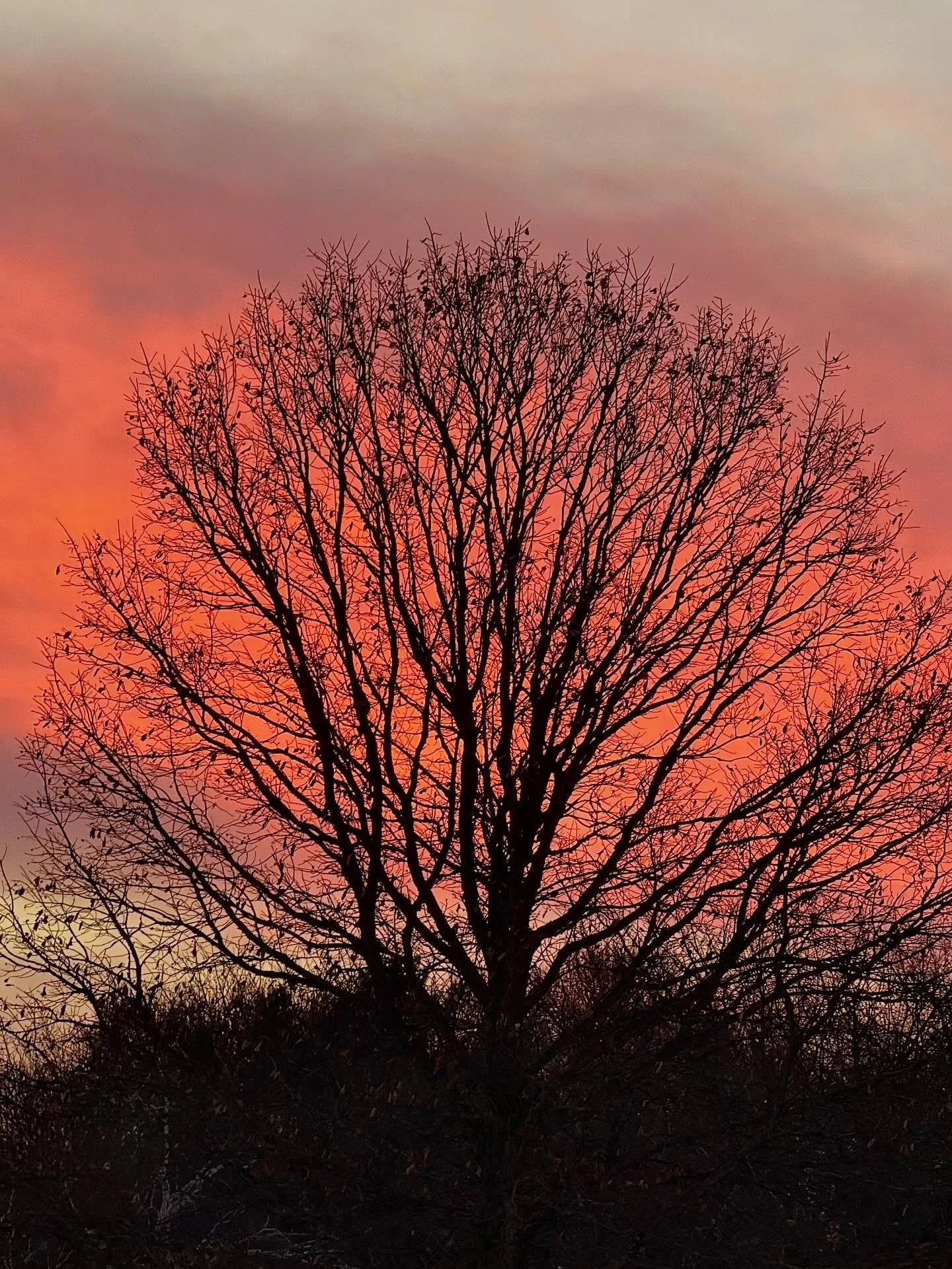 Chilly afternoon walks with beautiful sunset views make numb cheeks and fingers worth it.