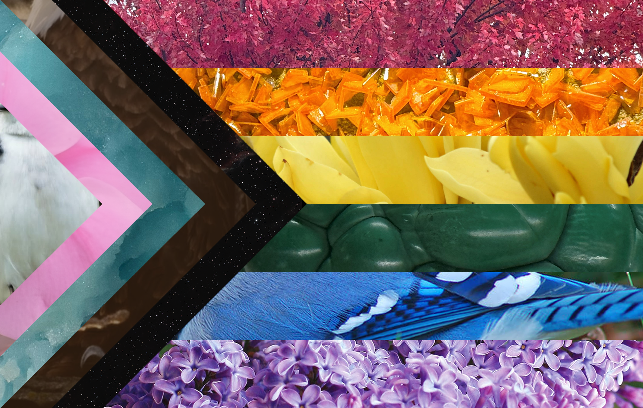 Progress Pride Flag - "The Nature of Pride"