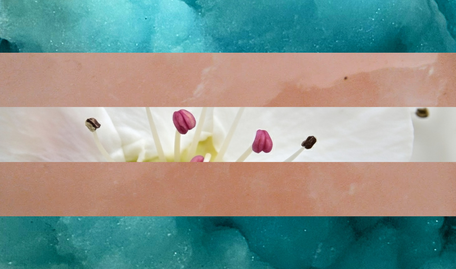 Transgender
