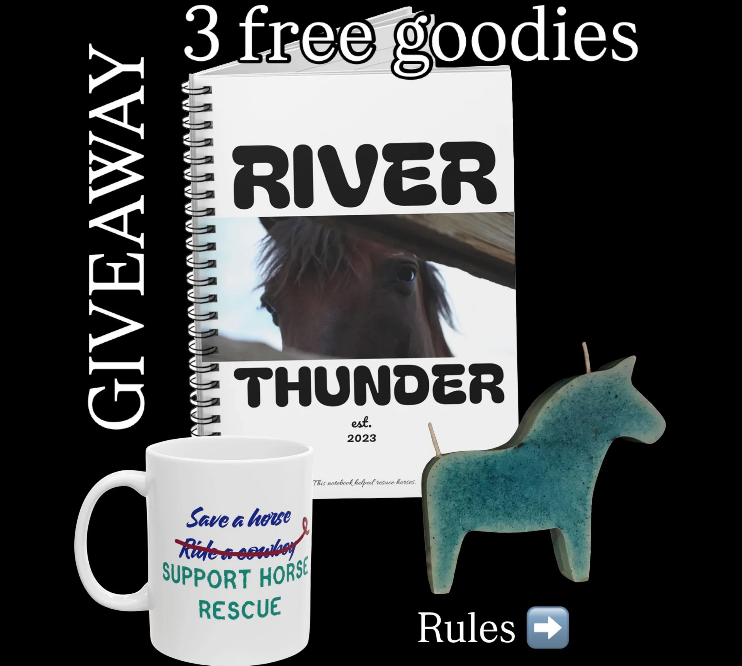 Win all 3! The Save A Horse coffee cup, Haluna&rsquo;s Rescue notebook, and a hand poured soy candle scented with New Mexico pressed lavender. 

Winner will be announced Sunday 💙

To enter: follow us on IG, share this post in your stories, and tag s