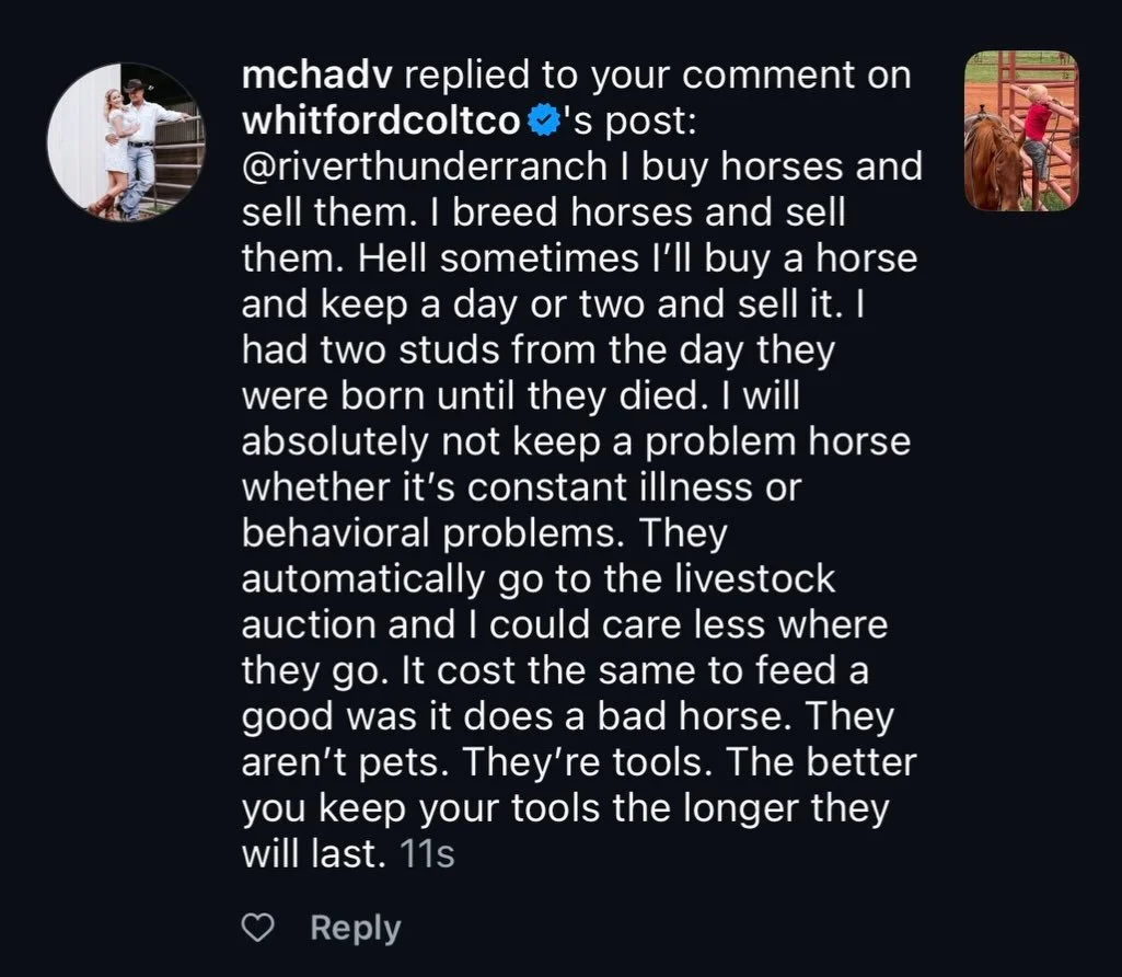 @mchadv while I hope you change your mind, thank you for this. So many people don&rsquo;t believe or understand how these horses end up where they do. &ldquo;How can that be!?&rdquo; they ask. And you are here to show them the answer. You commented t
