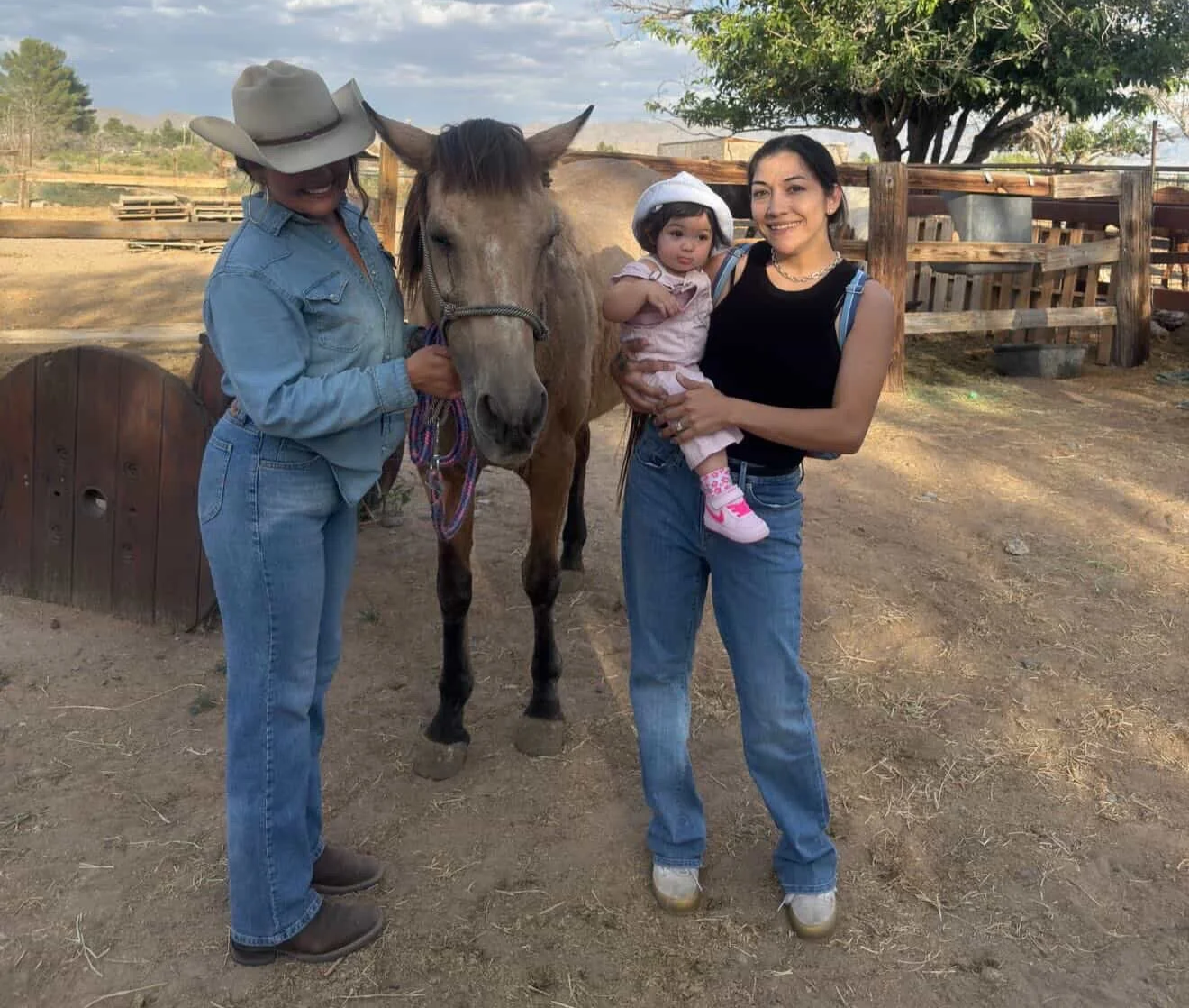 OPEN FARM DAY