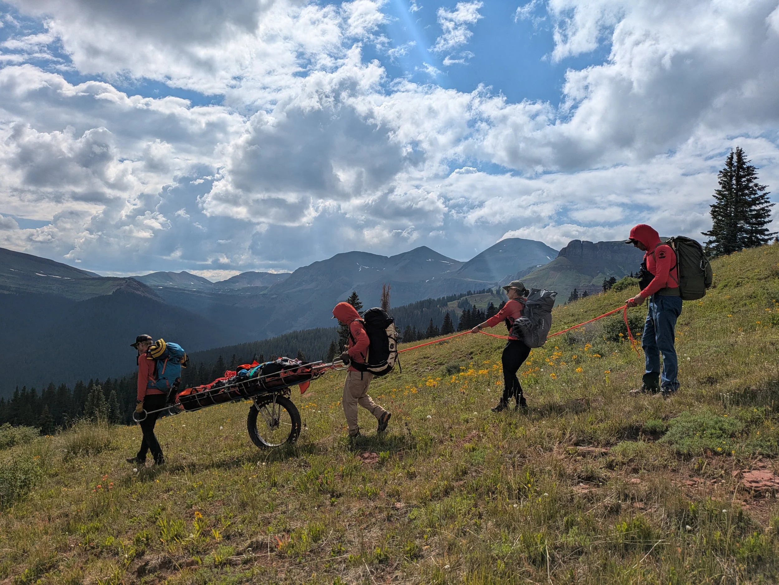 Four hikers wearing backpacks and jackets are hiking up a grassy hillside with wildflowers, mountains, woods, and a partly cloudy sky in the background. One person is pulling a cart loaded with gear.
