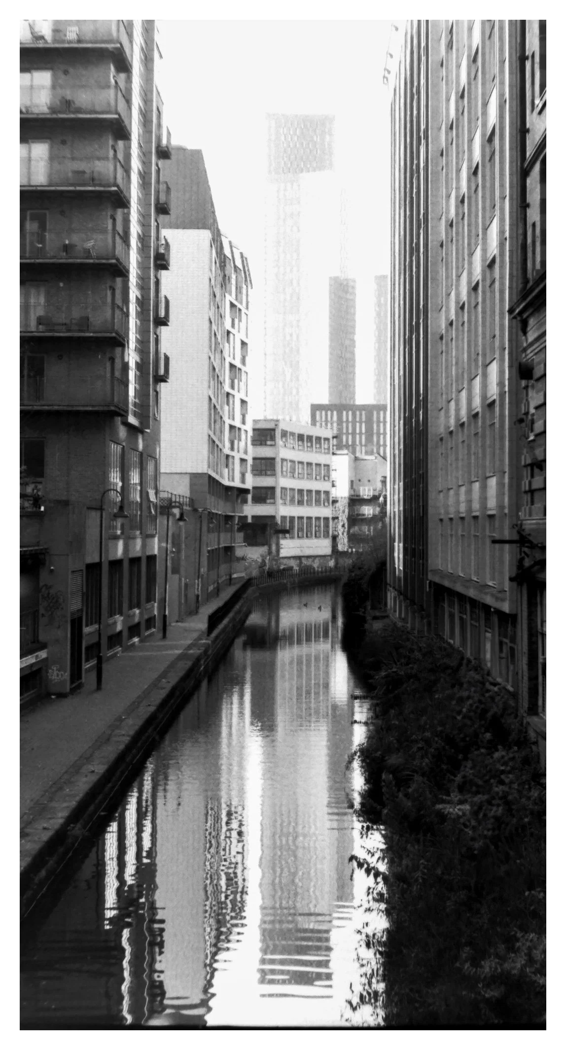 The Joy of Less: Finding My Flow with Photography
