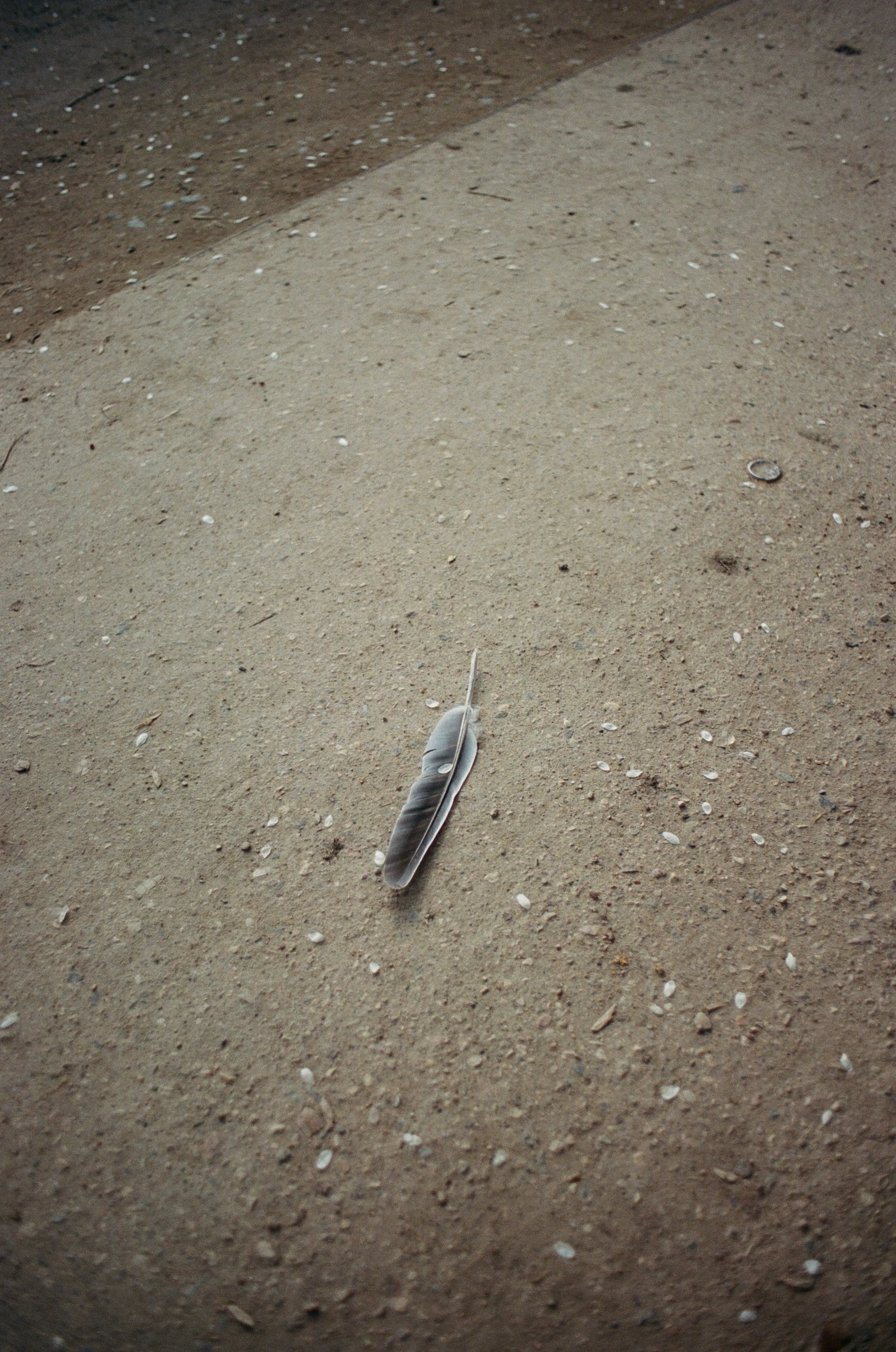 IMG_9824.JPG