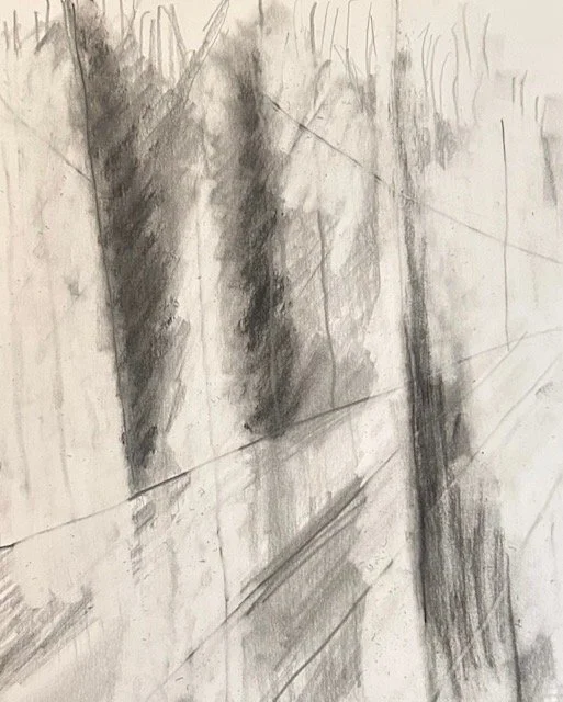 Whitagram-Image 5.jpg