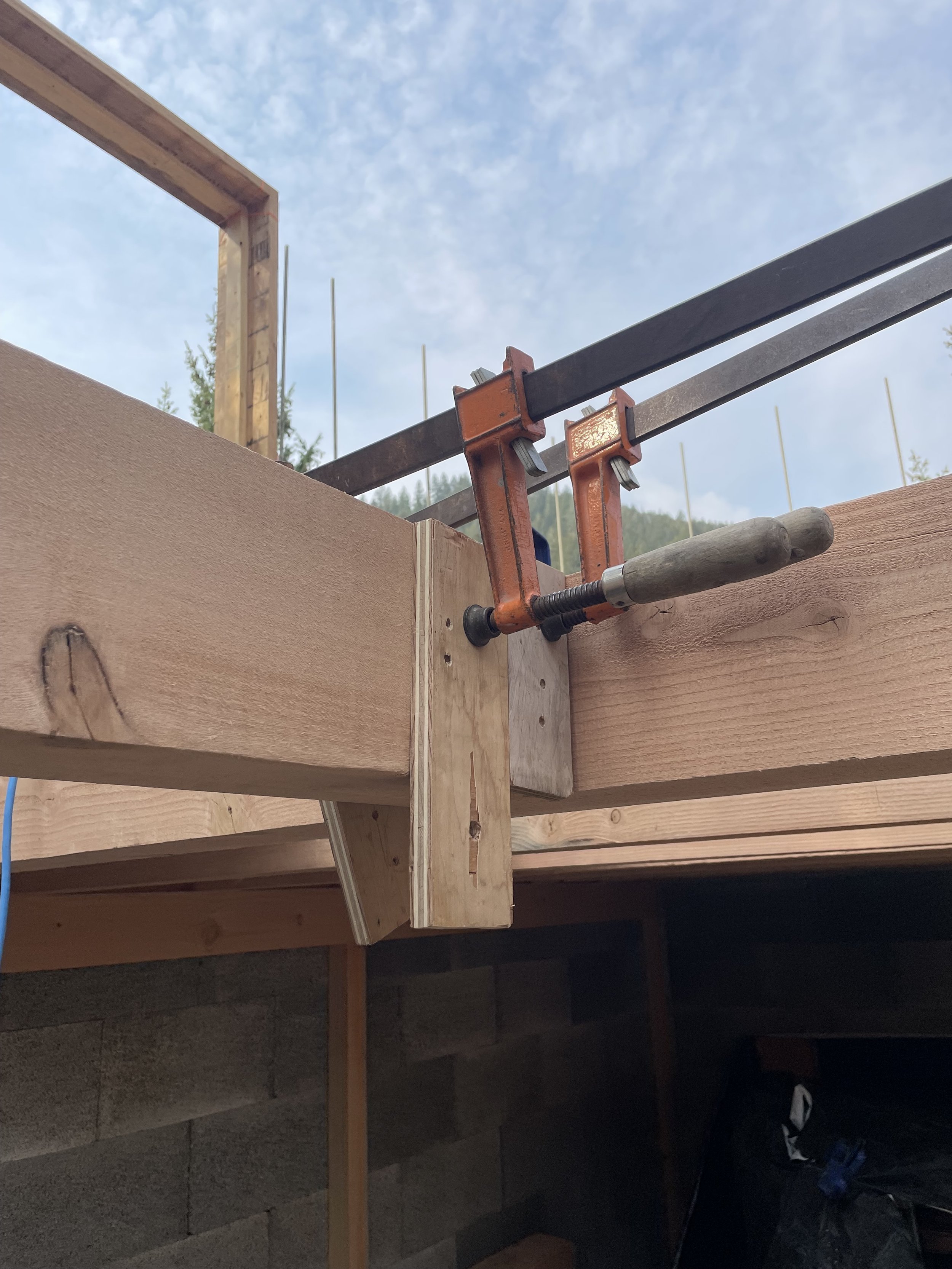 Photo Sep 06 2025, 10 45 16 AM.jpg