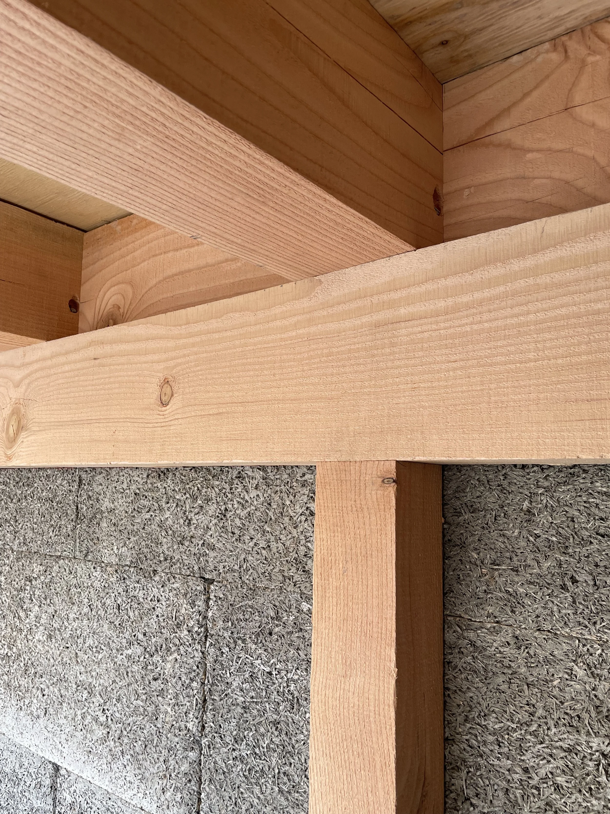 Photo Sep 06 2025, 10 45 33 AM.jpg