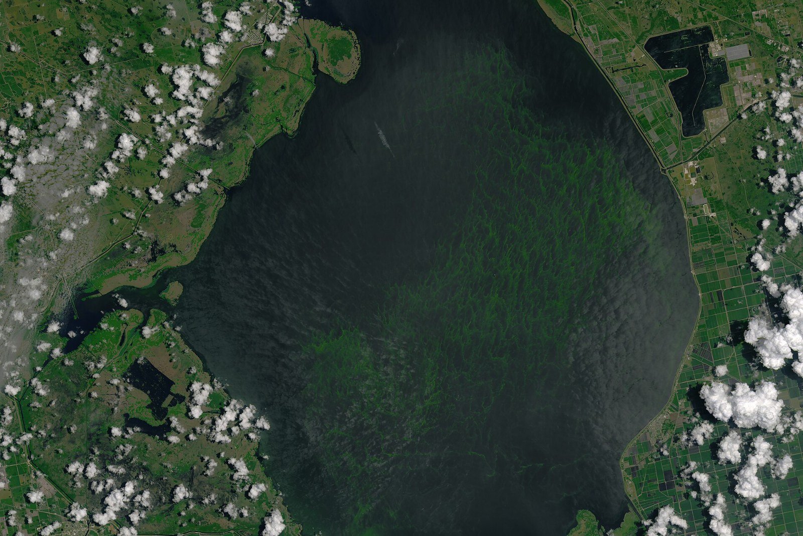 Lake Okeechobee's Long Shadow: The 1928 Hurricane, the Dike and the Algae Emergencies