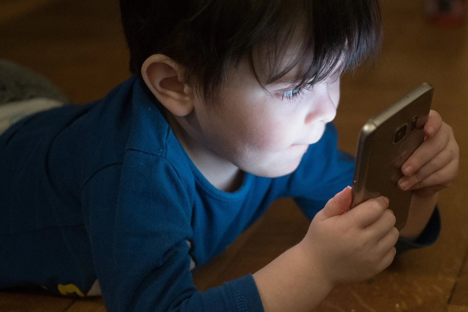 Florida's Social Media Law for Minors: What HB 3 Requires and Where the Fight Stands