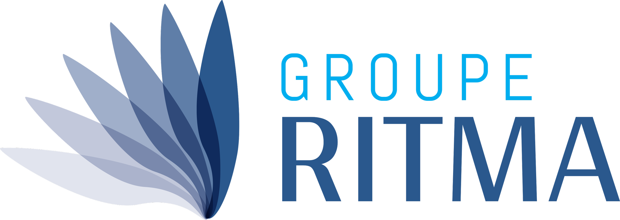 Logo du Groupe Dima avec une illustration de plusieurs feuilles stylisées en dégradé de bleus et de gris, côté gauche, et le texte « Groupe Dima » à droite, avec certains éléments en rouge.