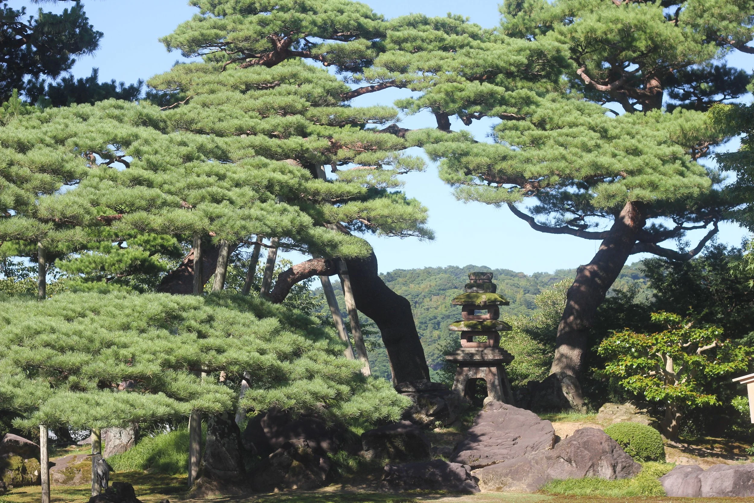 Travels in Japan, Toyama, July '24