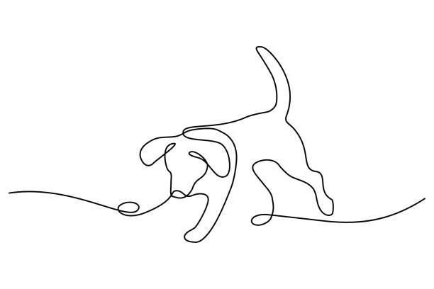 dog therapy port coquitlam