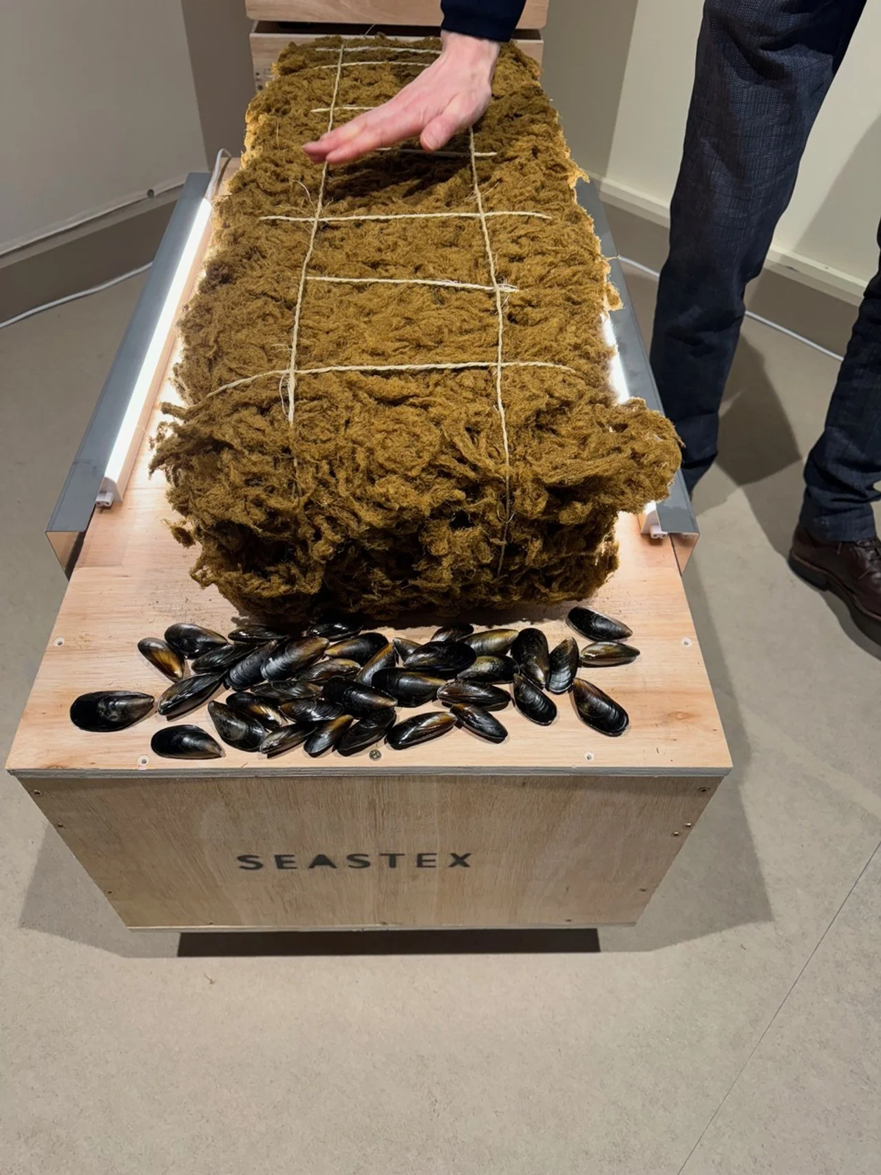 A person arranging natural material on a table with a pile of mussels at the front, and a large tuft of brown moss or seaweed secured with string. The table has a sign that reads 'SEASTEX'.