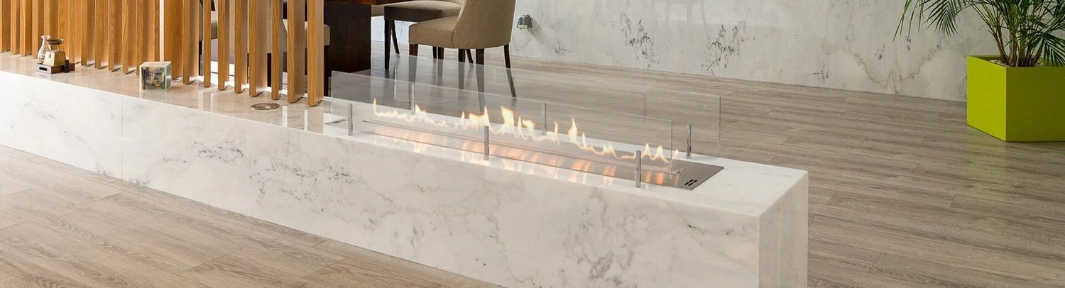 Modern fireplace with glass shield in a contemporary living space, featuring wooden flooring, a potted plant, and background furniture