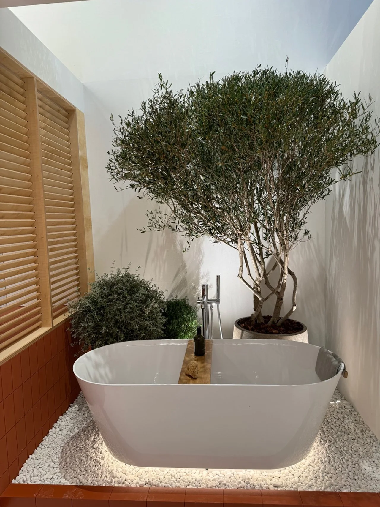 Indoor space with a modern white bathtub, a small bottle, and natural decor including a large tree and shrub, with white pebbles on the floor.