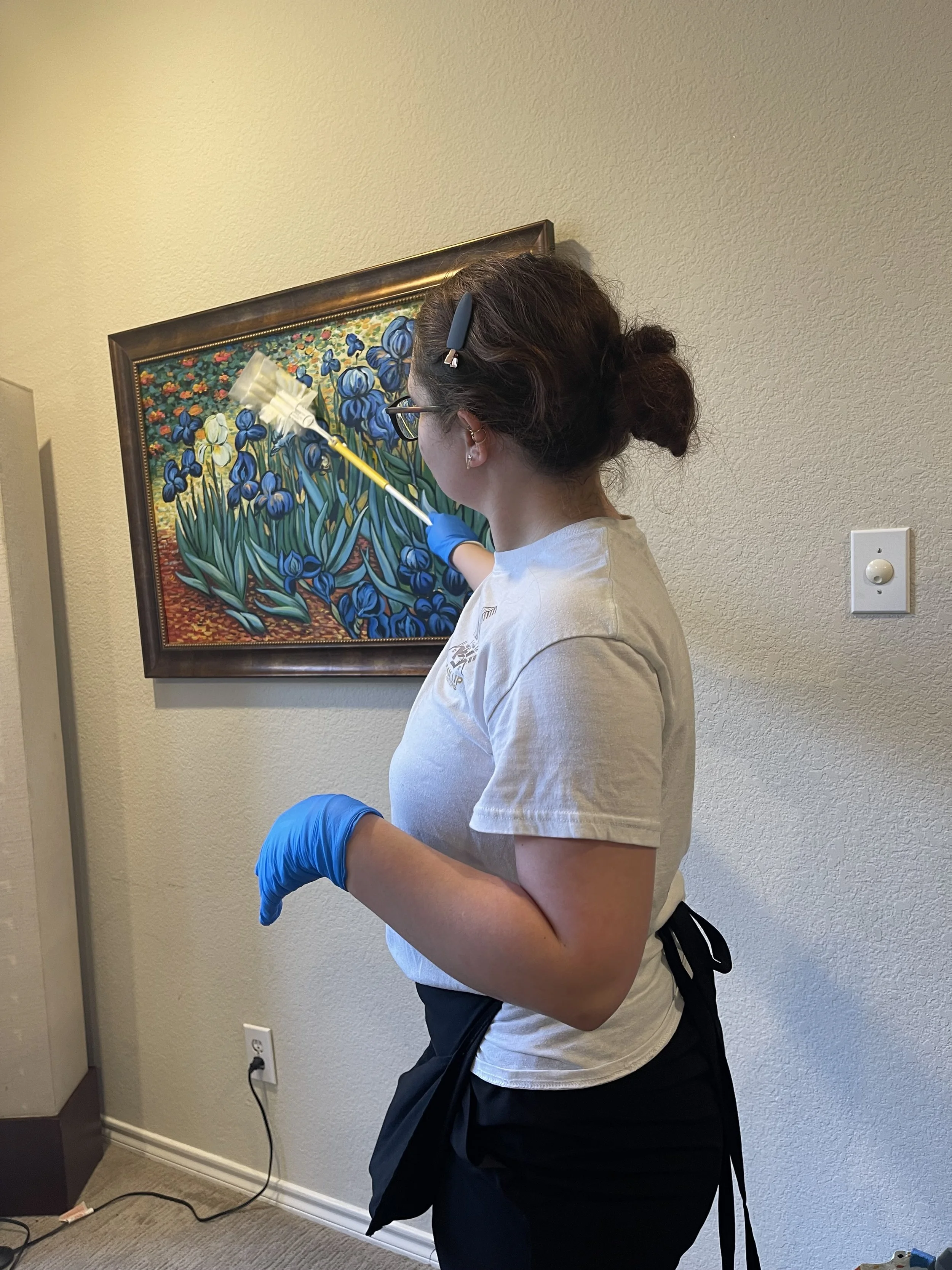 A woman cleaning or disinfecting a framed painting of irises on a beige wall inside a room, wearing a white shirt, black apron, blue gloves, glasses, and a hair clip.