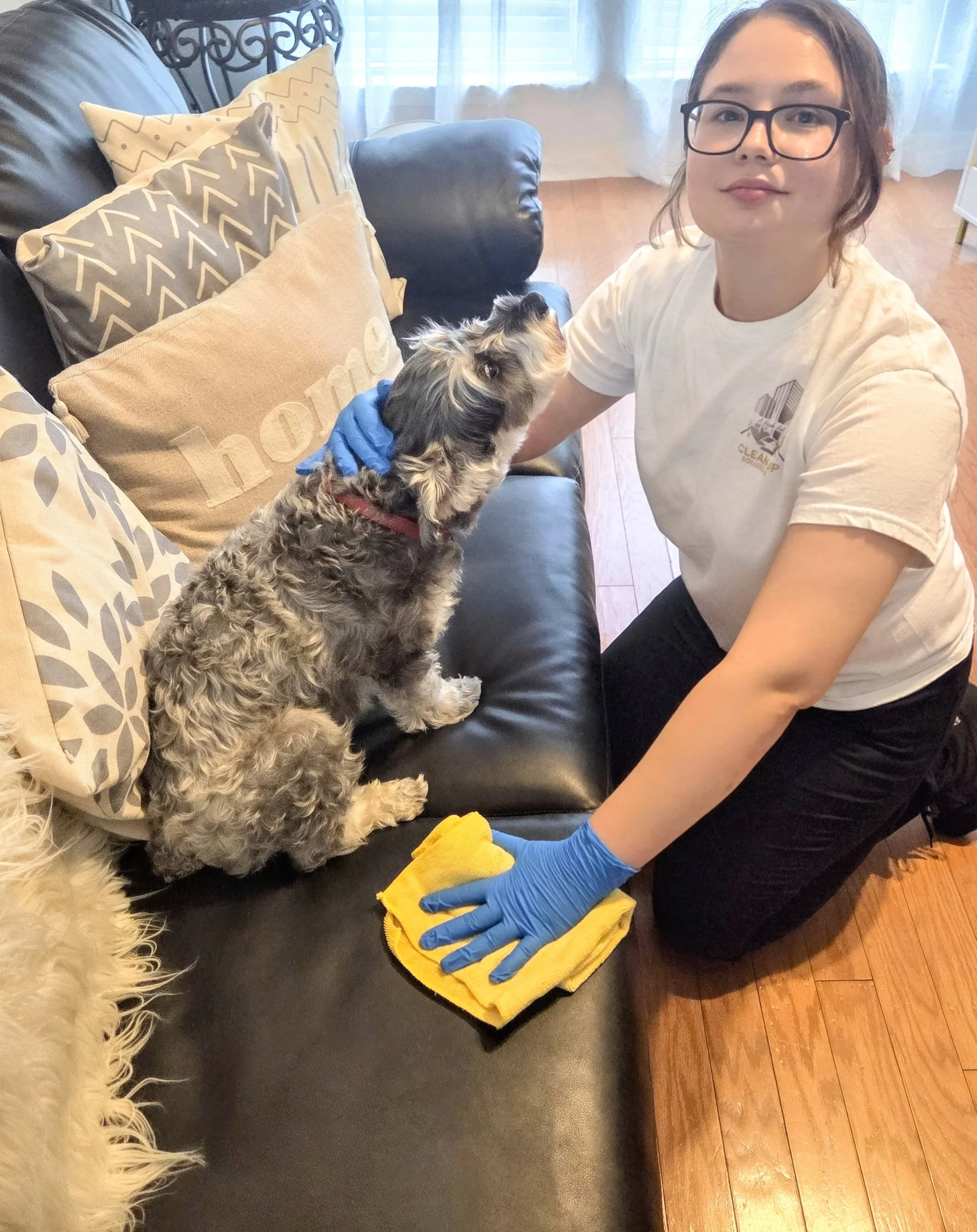A woman kneeling on the floor, wearing glasses and a cleaning t-shirt, cleaning a dog hair-covered dark leather couch with a yellow cloth. She is wearing blue gloves and holding a dog, a small fluffy gray and white puppy, who is sitting on the couch 