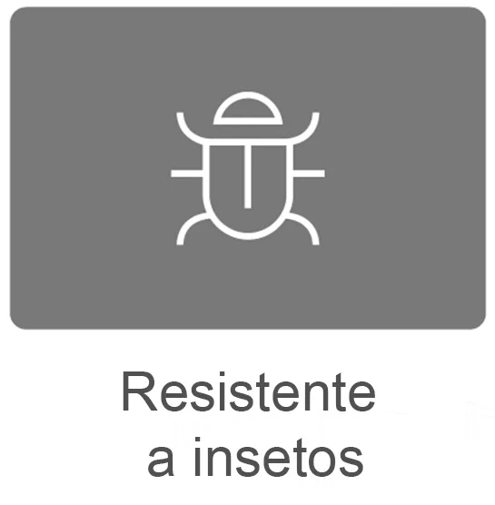 Ícone de inseto com fundo cinza e texto 'Resistente a insetos'.