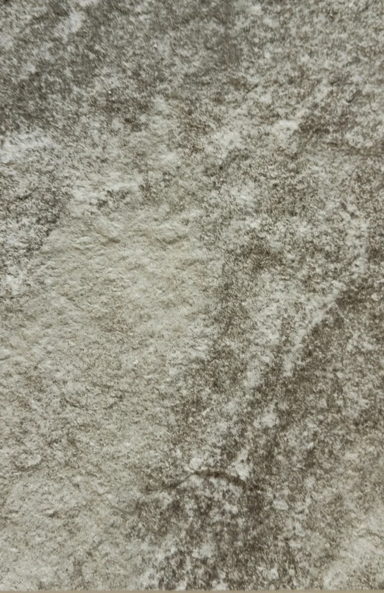 Texture Steam Lime Stone