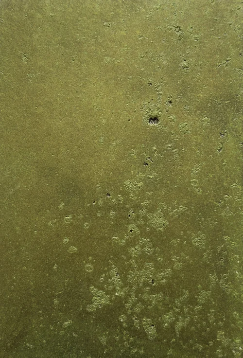 Golden Paint · Fiber Cement Pine Shadow