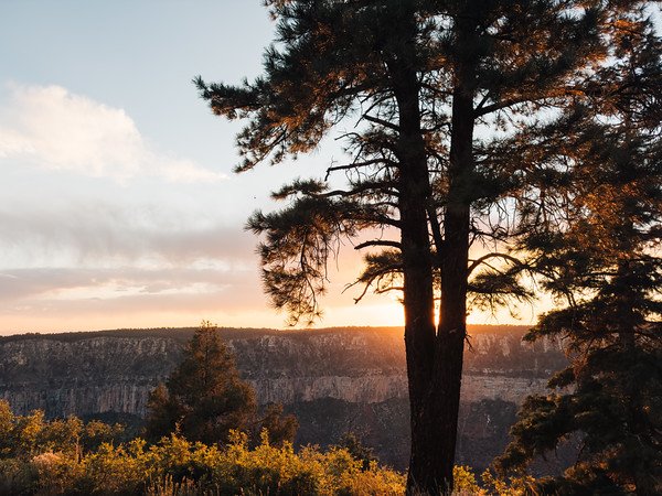 My life, a Gift of Lessons.