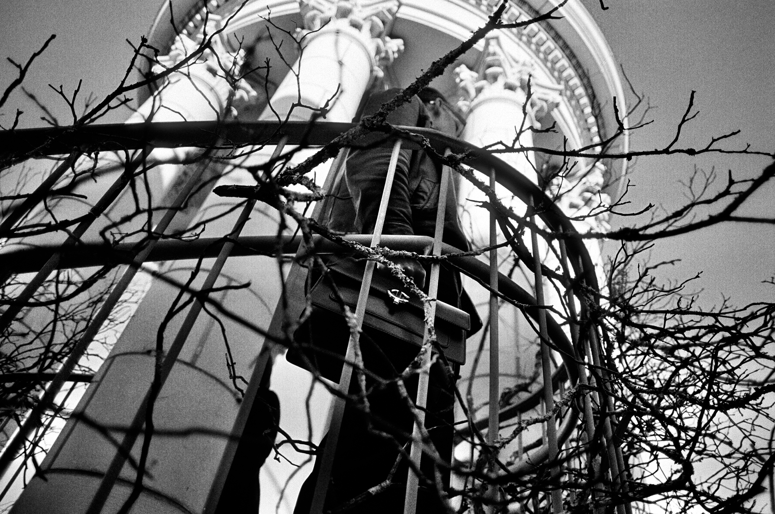 Felix Shoot Exp - 10 of 18.png