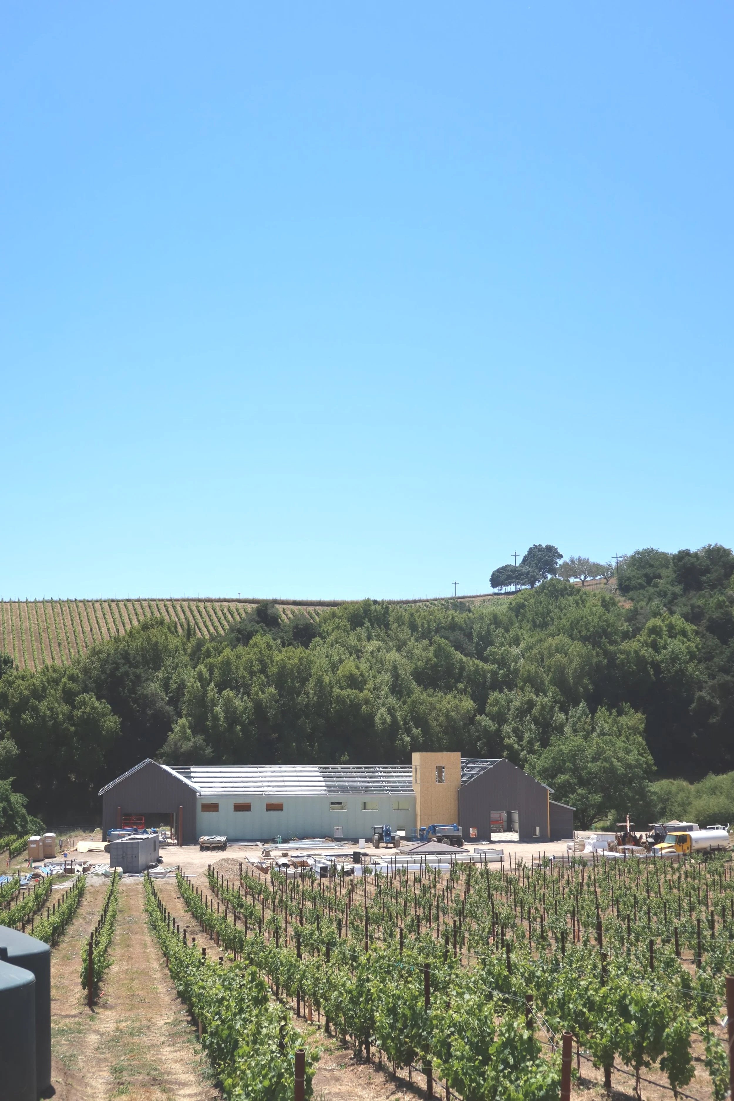 Progress of Winery