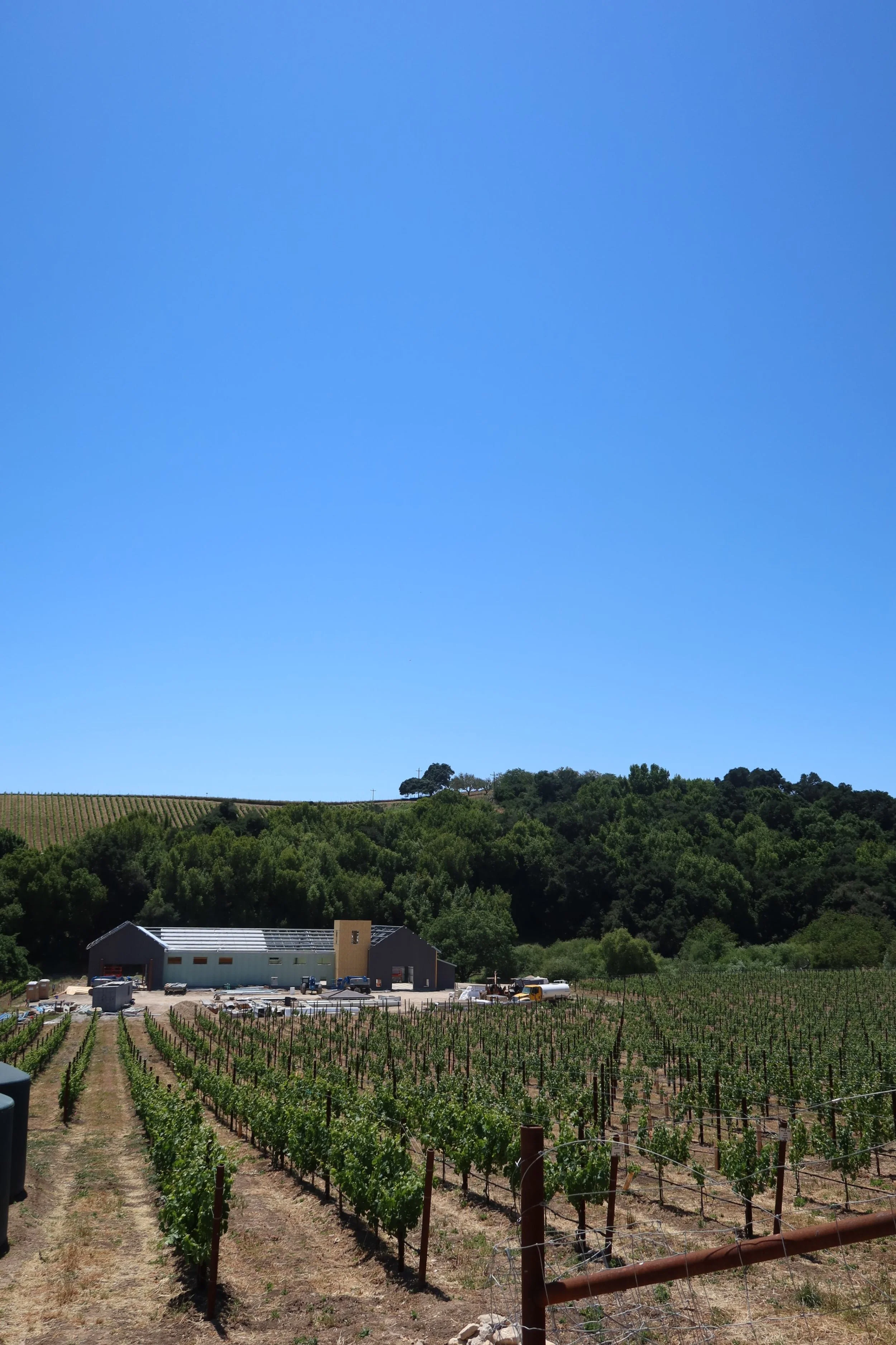 Creekcut Winery