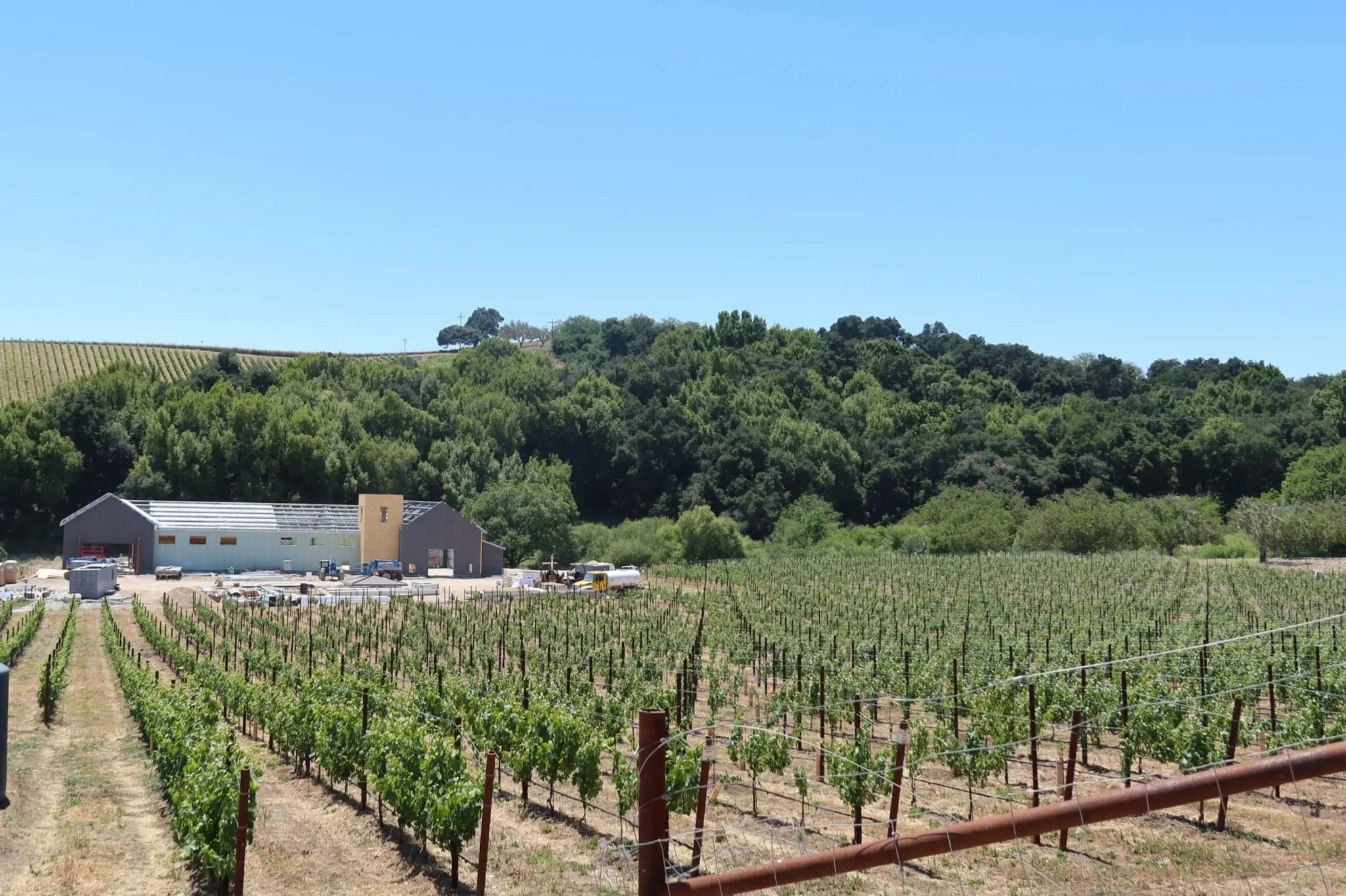 Creekcut Winery
